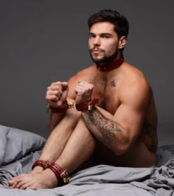 Burgundy Premium Leather Collar And Cuffs