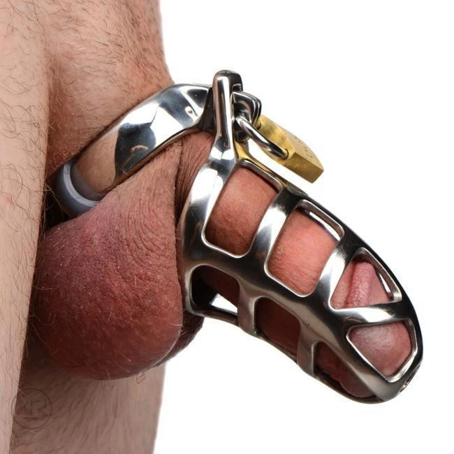 Master Series Stainless Steel Chastity Cock Cage 1 Master Series Stainless Steel Chastity Cock Cage