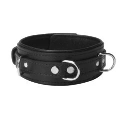 Strict Leather Premium Locking Collar -Boyz Shop sv525 crop 2